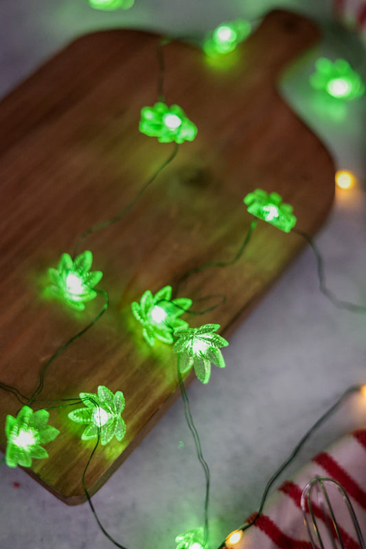Magical Green Plant Fairie LED Light String - Whiskey Skies