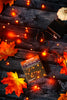 10' Orange LED Fairy Lights - Whiskey Skies - KURT S. ADLER
