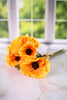 12.5" Yellow Real Touch Poppy Bundle (6 Stems) - Whiskey Skies - K&K INTERIORS