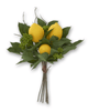 13" Lemon Foliage Bundle (Six Stems) - Whiskey Skies - K&K INTERIORS