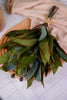 15.75" Lush Foliage Bunch - Whiskey Skies - MELROSE INTL