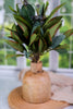 15.75" Lush Foliage Bunch - Whiskey Skies - MELROSE INTL