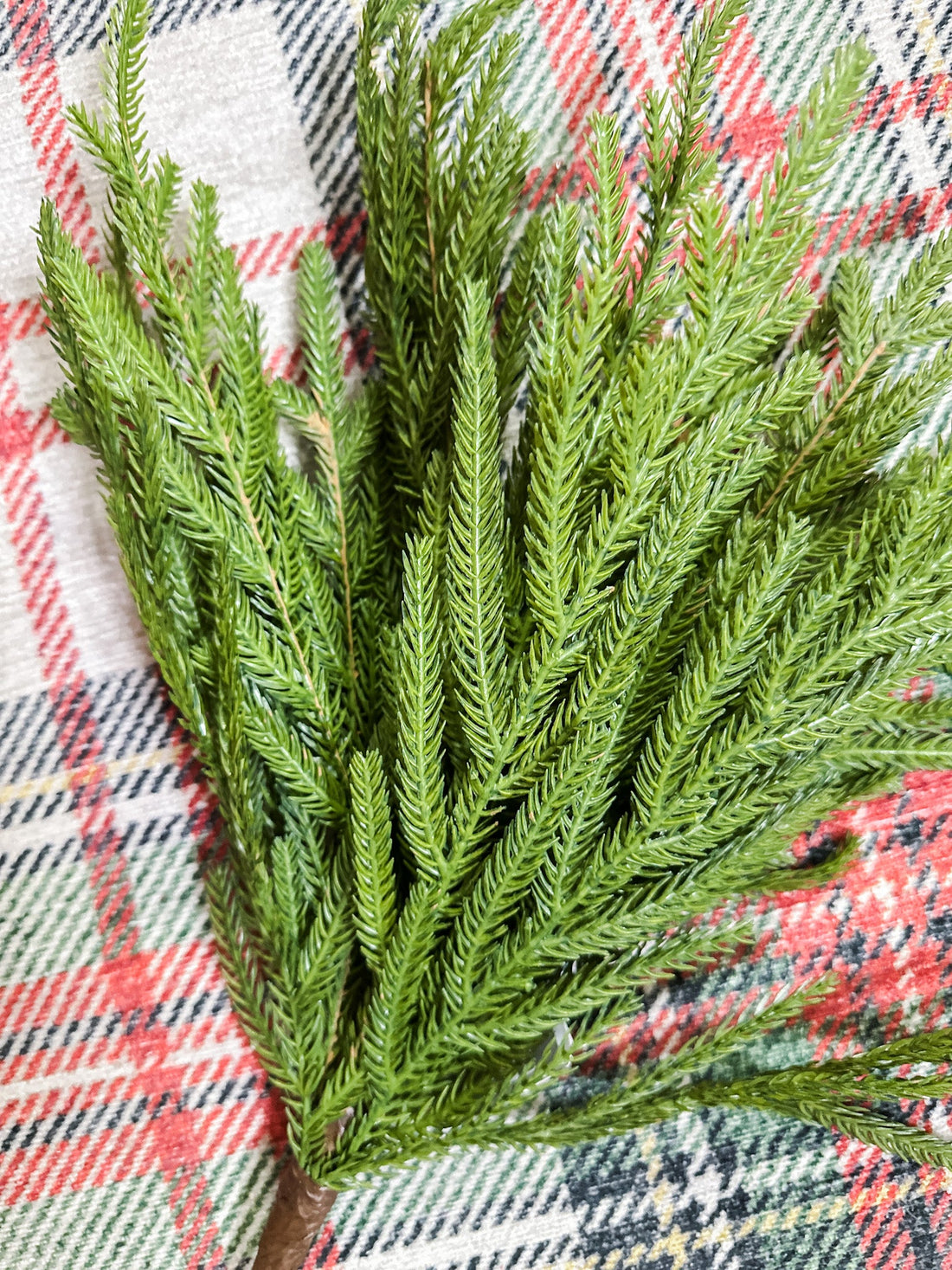 18" Norfolk Pine Pick - Whiskey Skies - RAZ IMPORTS