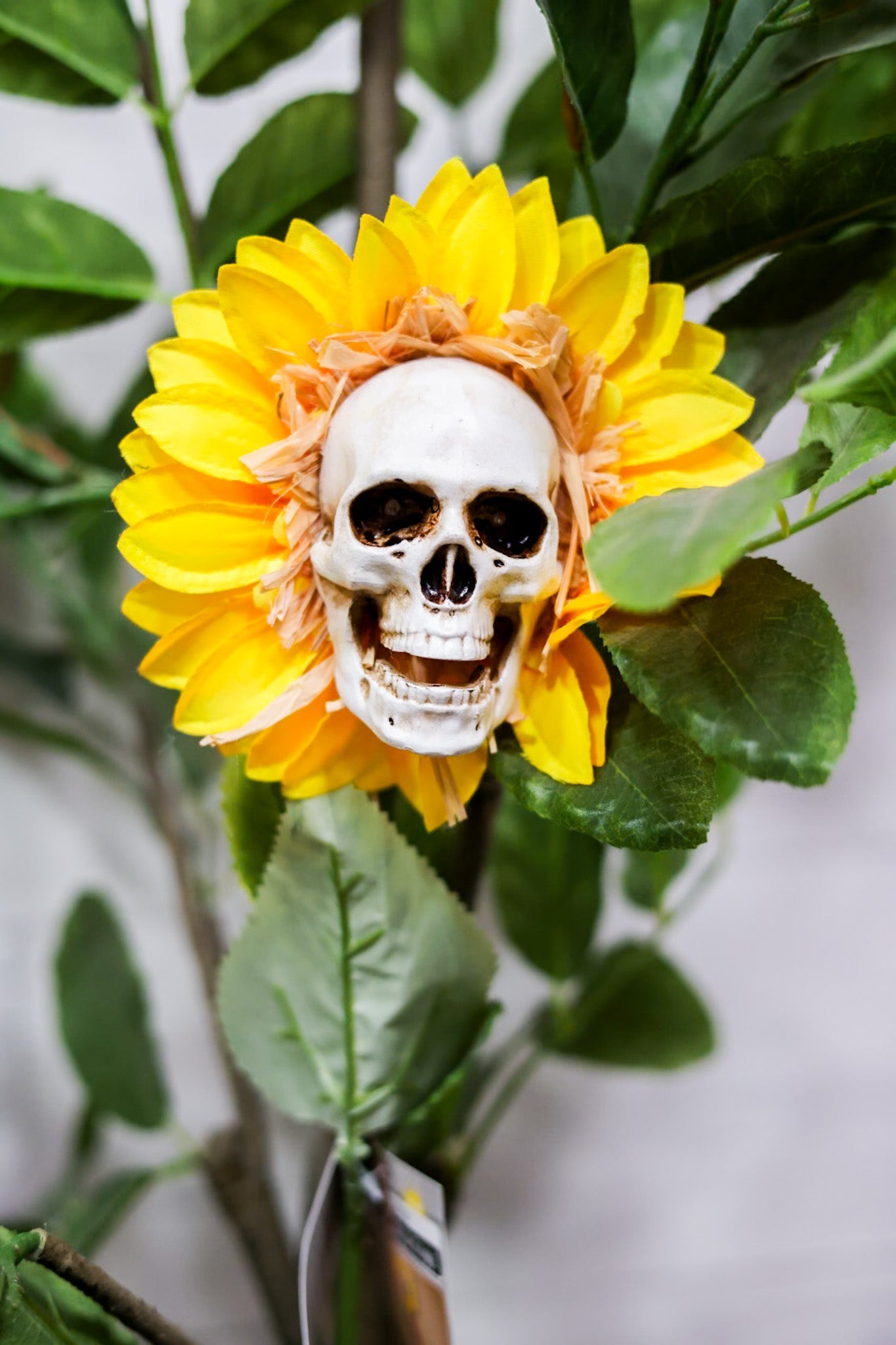 27.5" Solar Skull Sunflower Stake - Whiskey Skies - GERSON COMPANIES