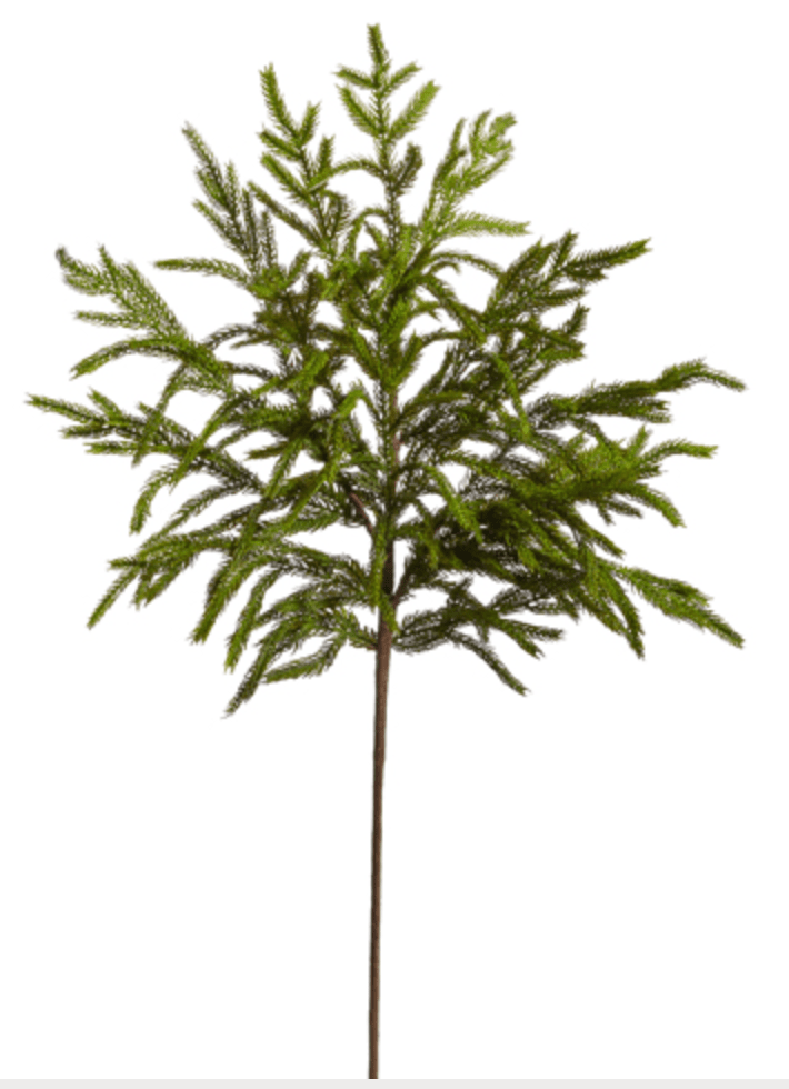 33" Norfolk Pine Spray - Whiskey Skies - RAZ IMPORTS