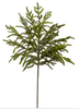 33" Norfolk Pine Spray - Whiskey Skies - RAZ IMPORTS