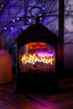 Neon Lighted Halloween Lantern W/ Timer (3 Styles)