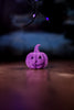 Flocked Jack-O-Lantern's (4 Colors)