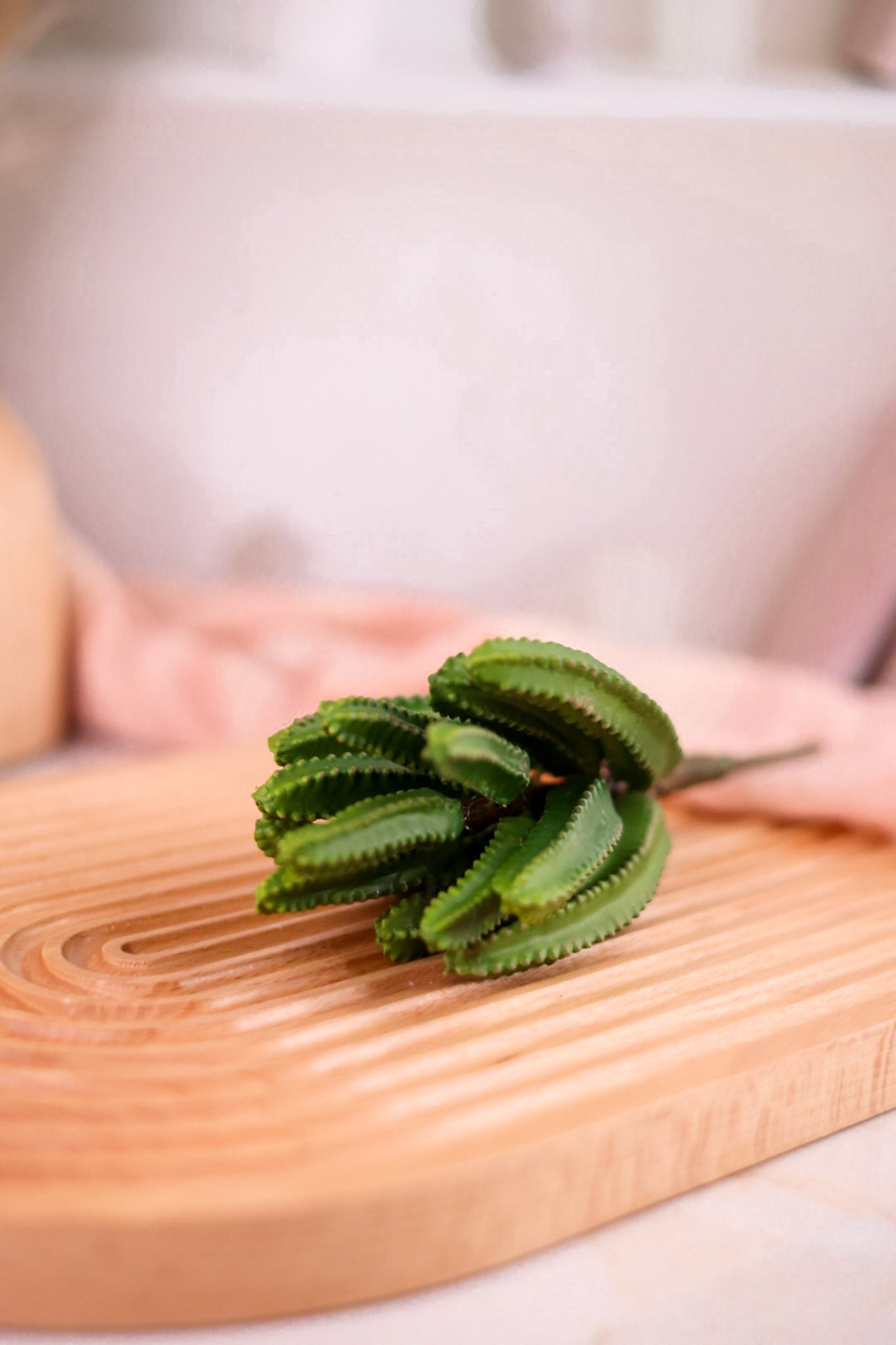 9" Green Euphorbia Cactus Pick