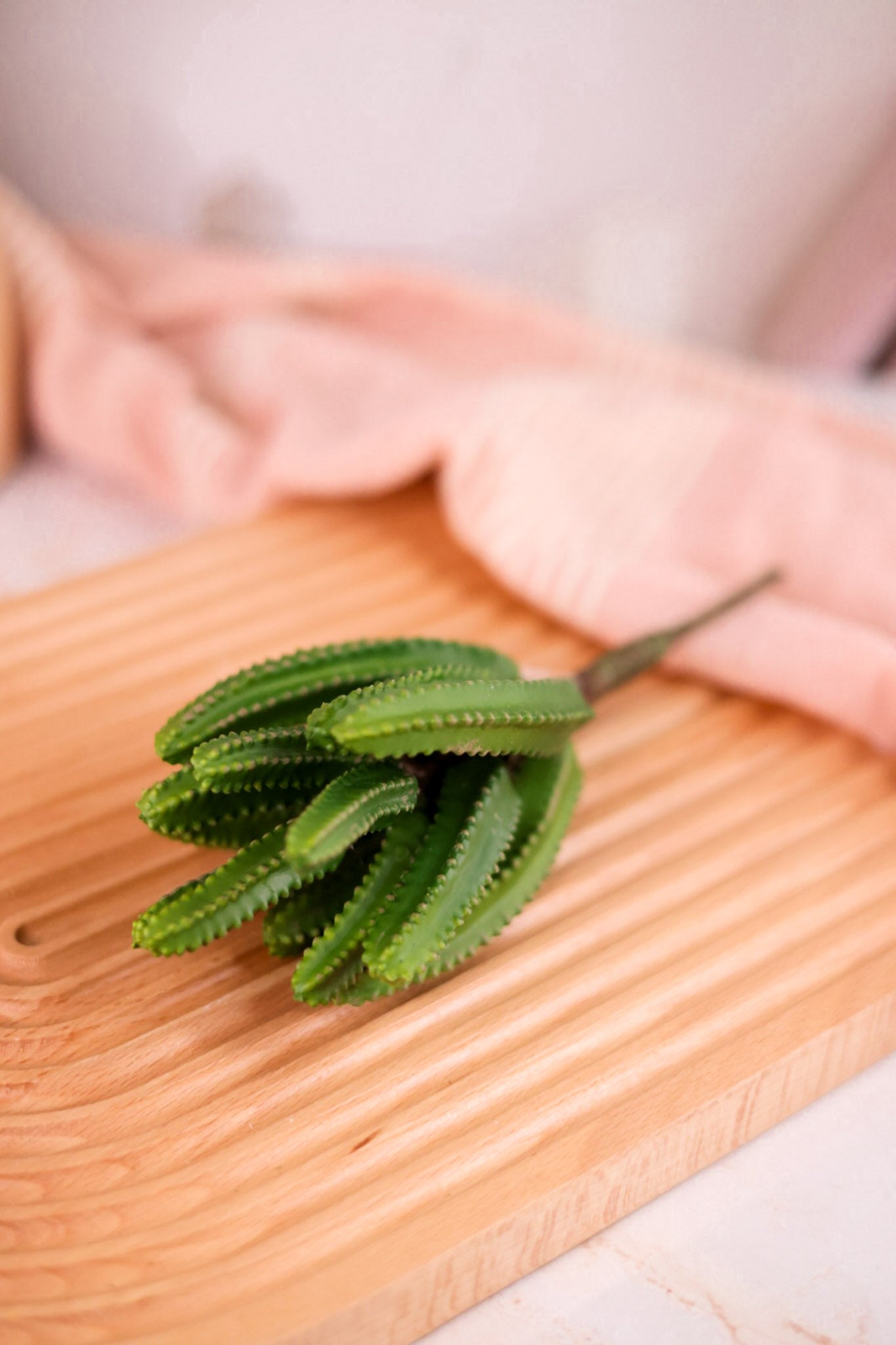 9" Green Euphorbia Cactus Pick