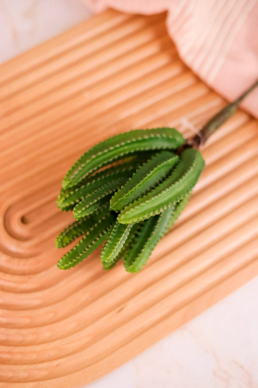 9" Green Euphorbia Cactus Pick