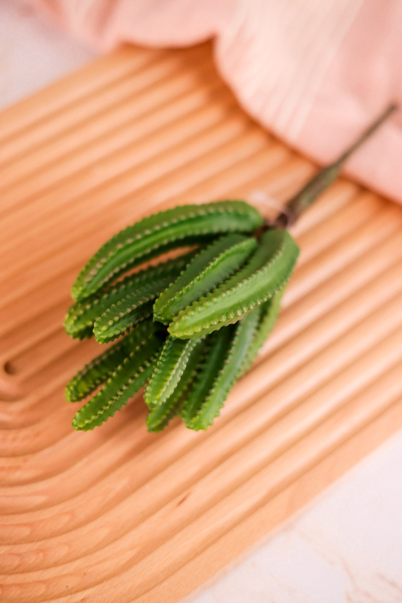 9" Green Euphorbia Cactus Pick