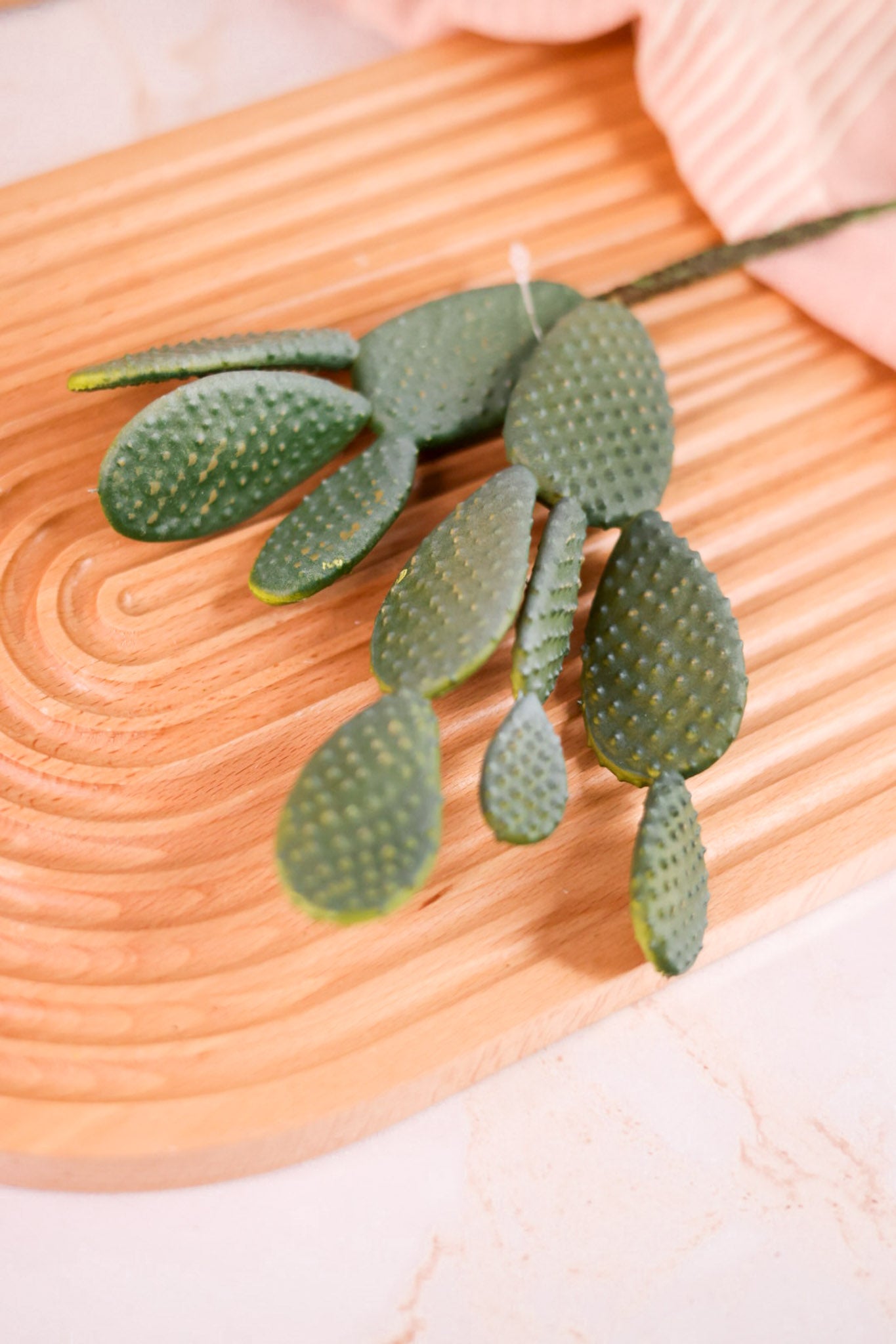 11" Light Green Paddle Cactus Pick