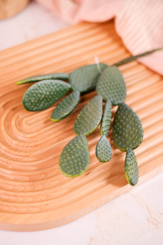 11" Light Green Paddle Cactus Pick