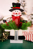 Wooden Snowman Solar Decorative Sitter