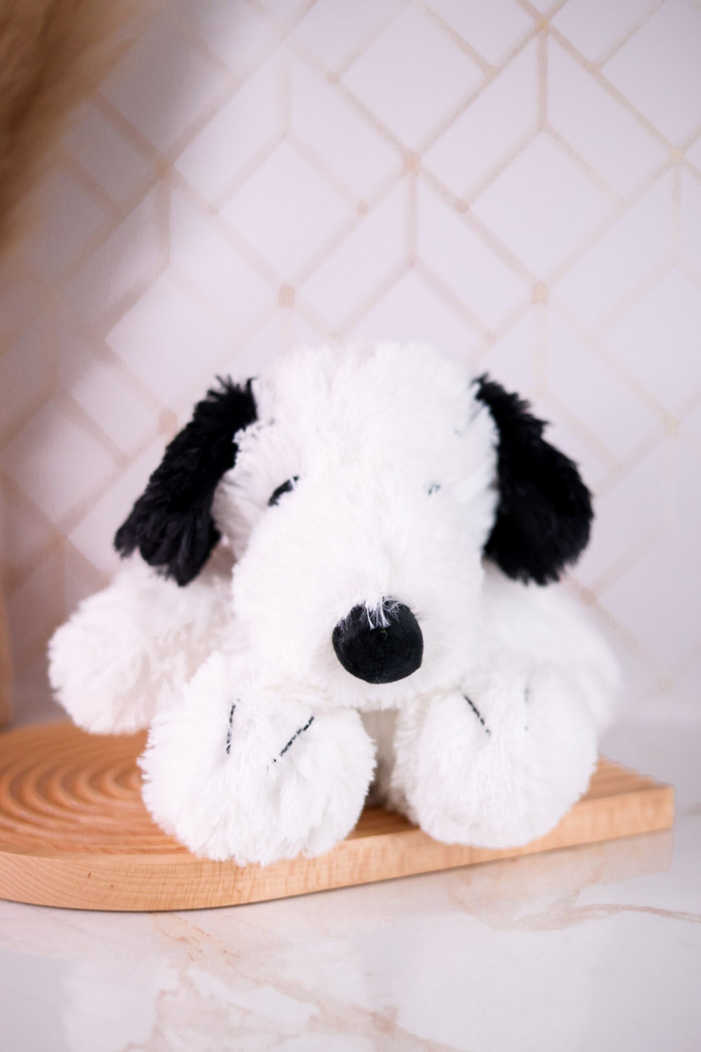 Snoopy Plush Warmie