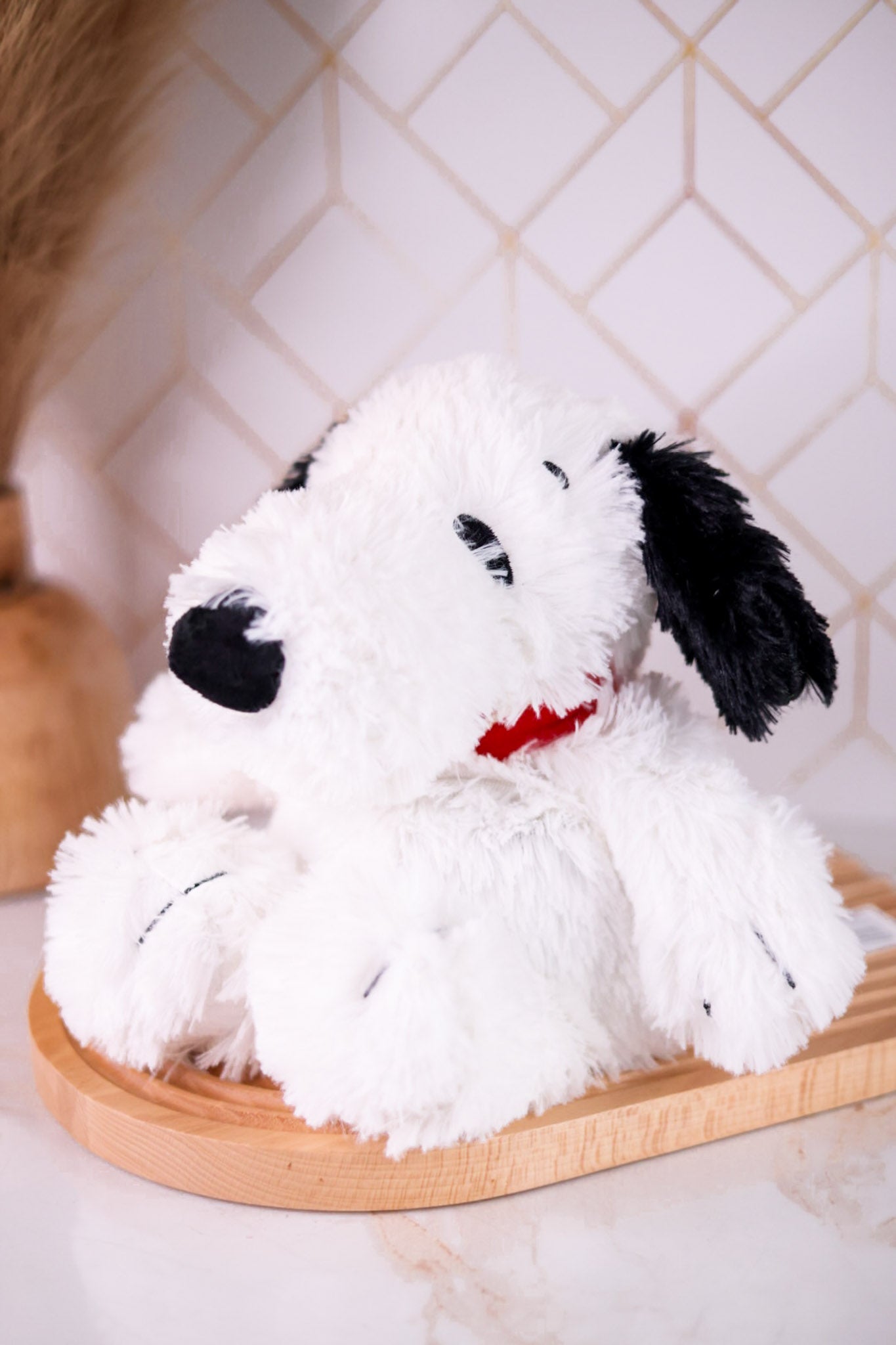 Snoopy Plush Warmie