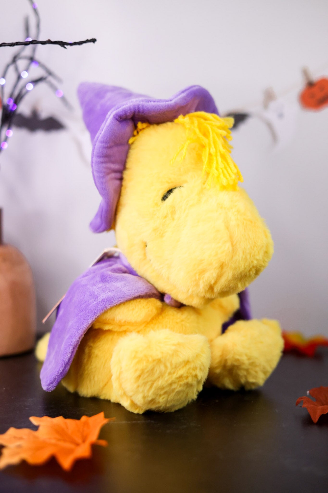 Licensed Peanut Wizard Woodstock Warmie