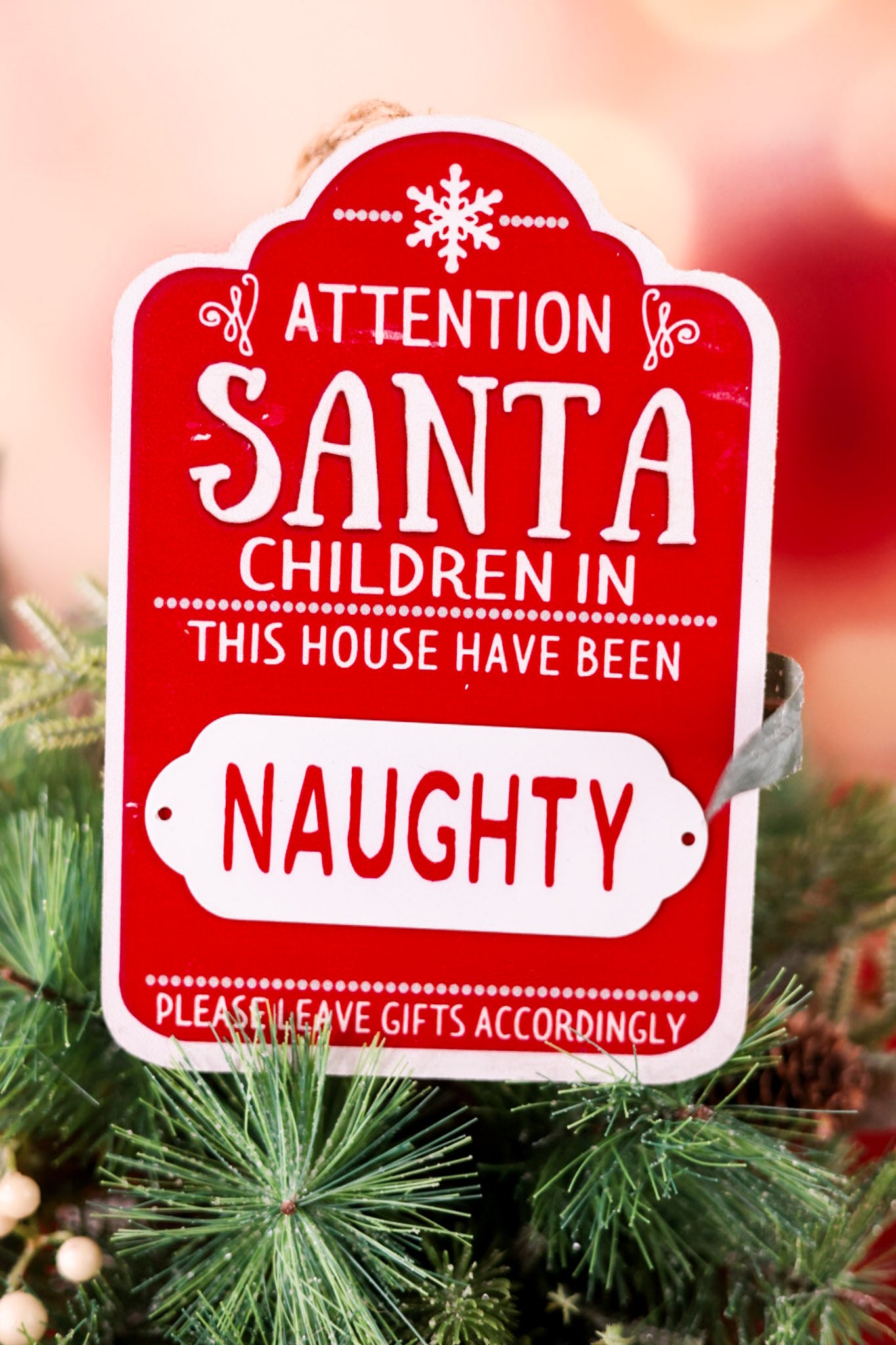 Magnetic Naughty Or Nice Wall Sign