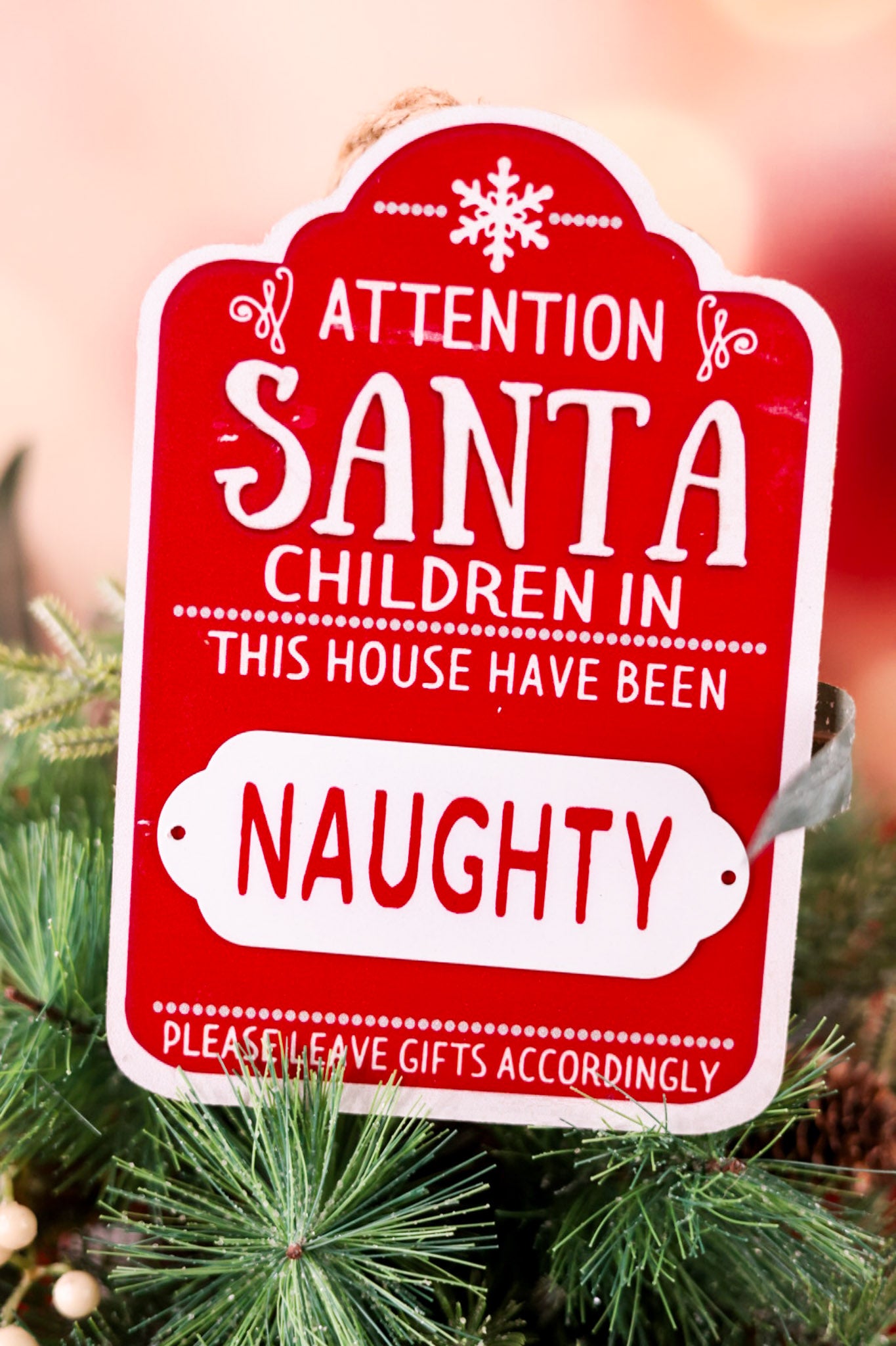 Magnetic Naughty Or Nice Wall Sign