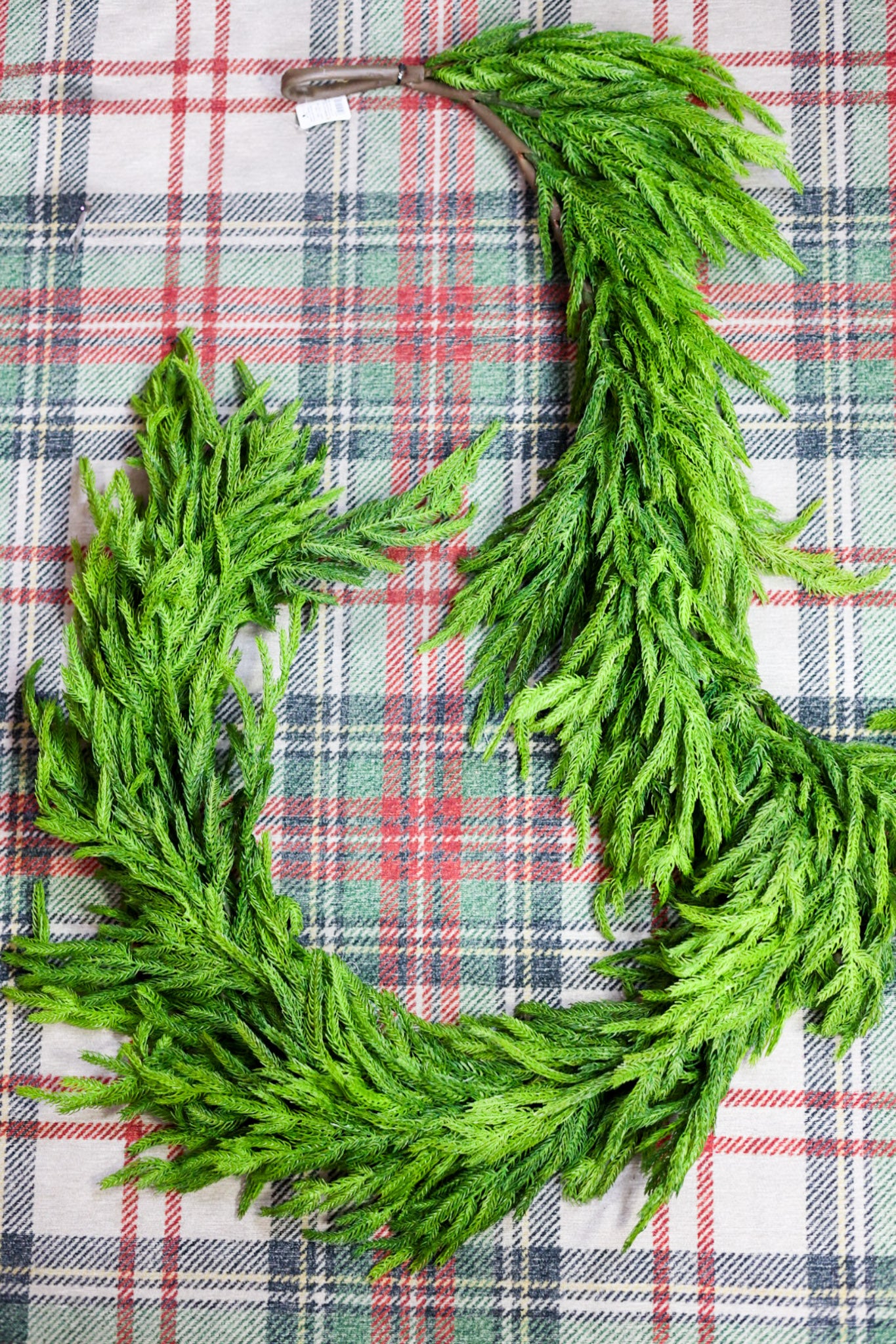 6' Norfolk Pine Garland