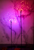 20" Purple LED Burst Tree