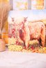 Flower Grazing Highland Cows Wall Art (3 Styles)