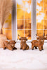 Resin Harvest Highland Cow Decorative Table Top Figures (Three Styles)