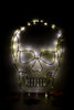 Hanging Light Up Wire Skull