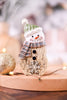 Resin Woodland Lodge Snowman