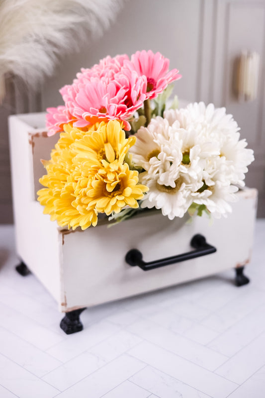 Gerbera Daisy Bush (3 Colors)