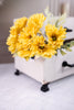Gerbera Daisy Bush (3 Colors)