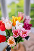 10.5" Real Touch Parrot Tulips (13 Colors)