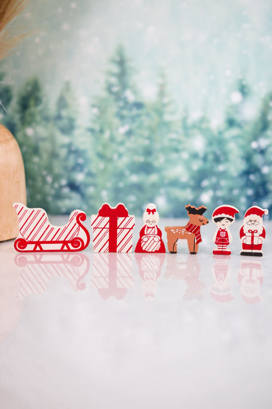 Set of 6 Santa Themed Ledgies