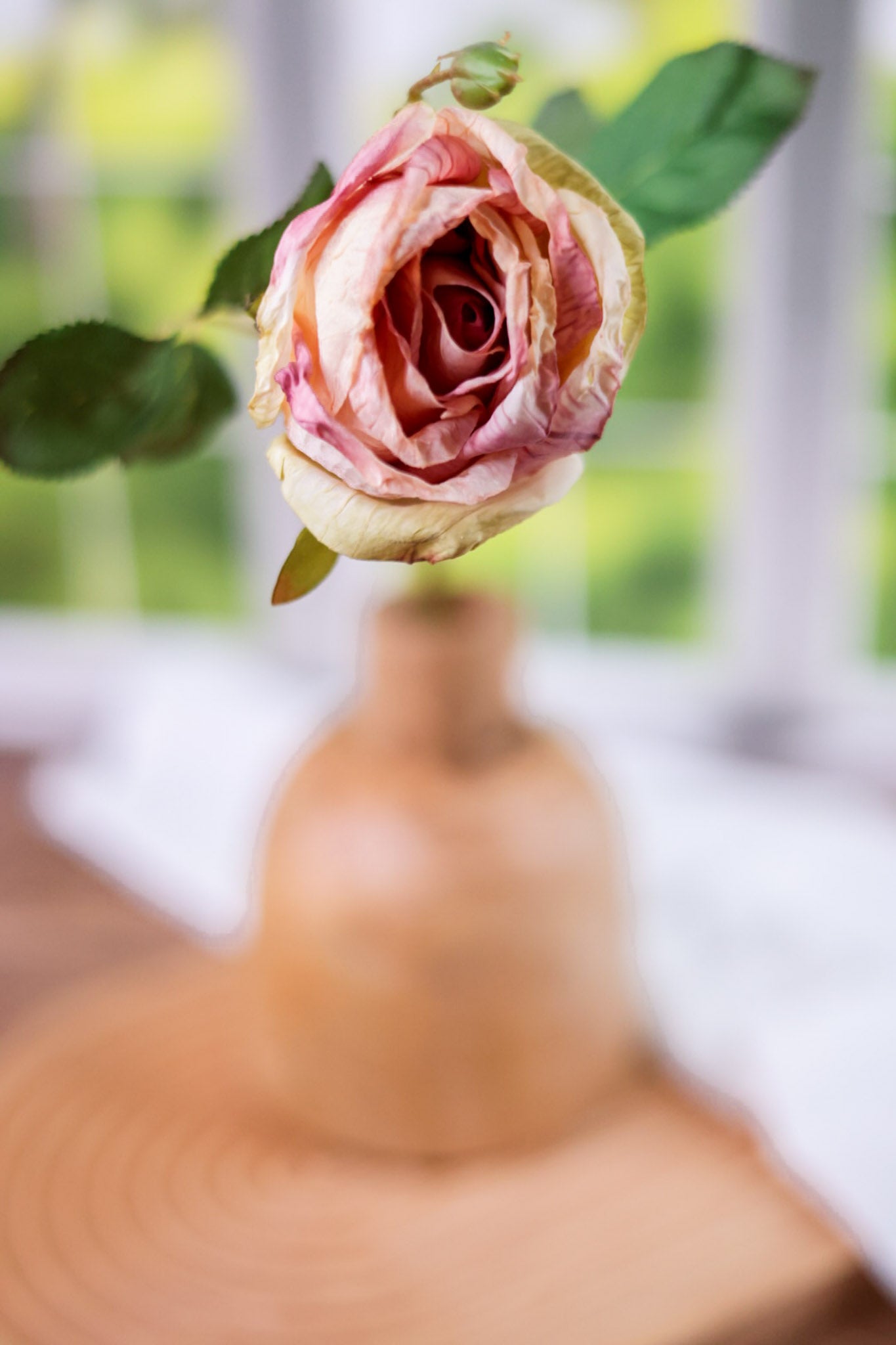Antique Blush Rose Stem