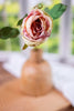 Antique Blush Rose Stem