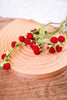 Red Berry Pick