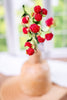 Red Berry Pick