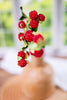Red Berry Pick