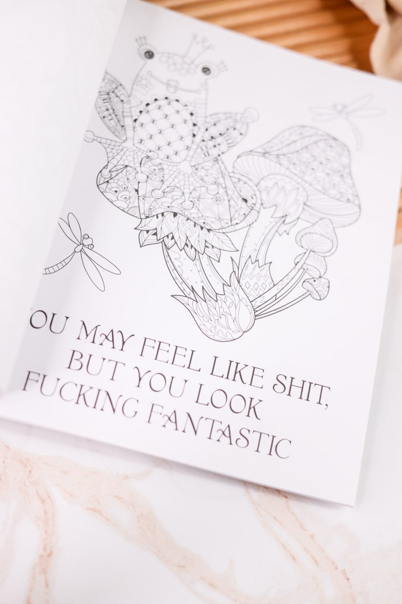 Cheer The F*ck Up Adult Coloring Book