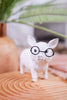 5" Resin Pig with Glasses Figurine (2 Styles)