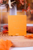 Pumpkin Dulce Car Diffuser Refill By Capri Blue