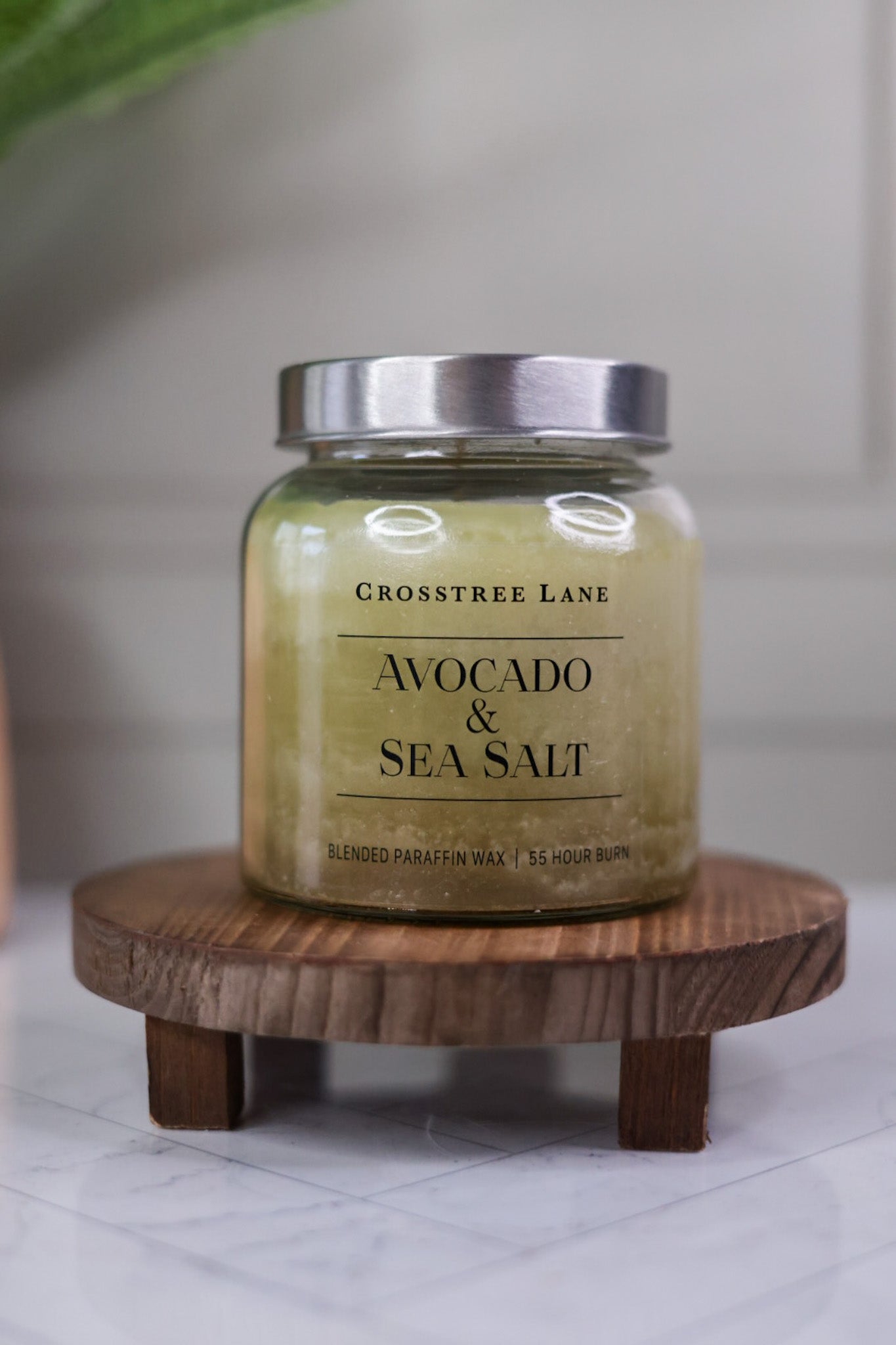 Avocado Sea Salt Crosstree Lane Candle