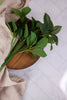 11.5" Lemon Leaf Stem