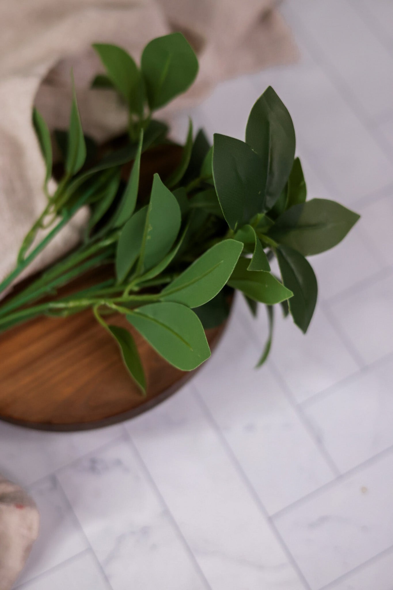 11.5" Lemon Leaf Stem