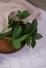 11.5" Lemon Leaf Stem