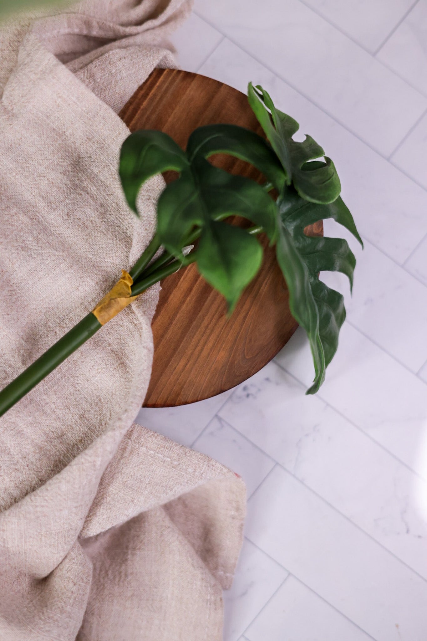 8" Split Leaf Philodendron Bush