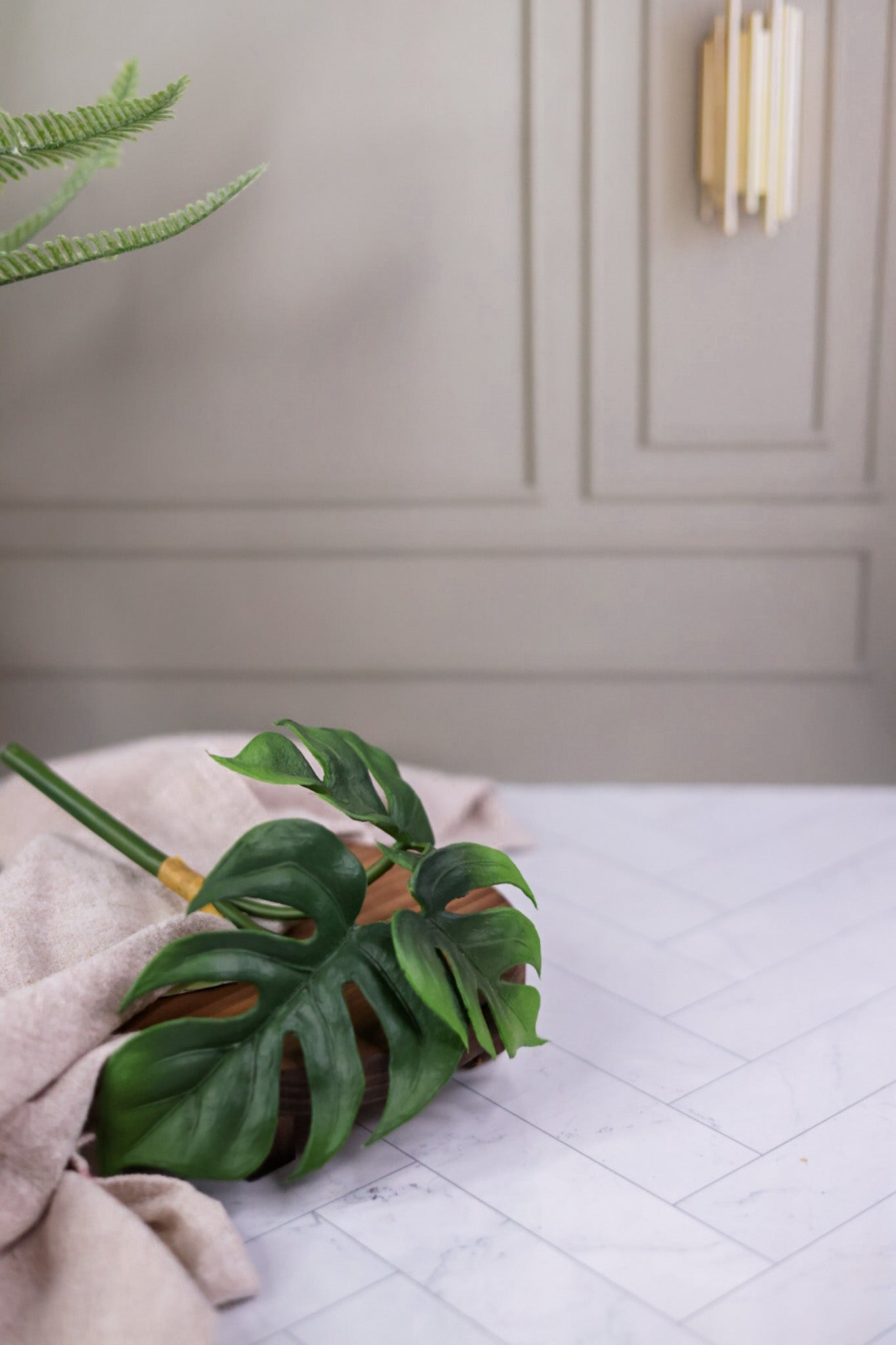 8" Split Leaf Philodendron Bush