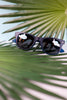 Floating Polarized Sunglasses (4 Colors)