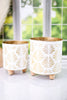 White and Gold Shell Patterned Metal Containers (2 Sizes)